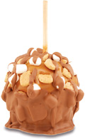 Smore Galore Caramel Apple
