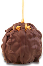 Cashew Turtle W/Dark Belgian Chocolate