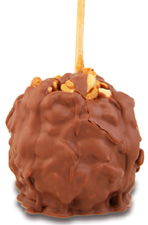 Cashew Turtle W/Milk Belgian Chocolate
