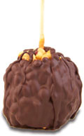 Peanut Turtle W/Dark Belgian Chocolate