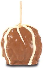 Peanut Turtle W/Milk Belgian Chocolate