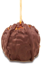 Pecan Turtle W/Dark Belgian Chocolate