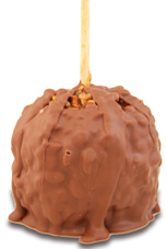 Pecan Turtle W/Milk Belgian Chocolate