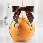 Sweet Pumpkin Caramel Apple