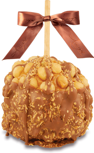 Macadamia Coconut W/Belgian Chocolate